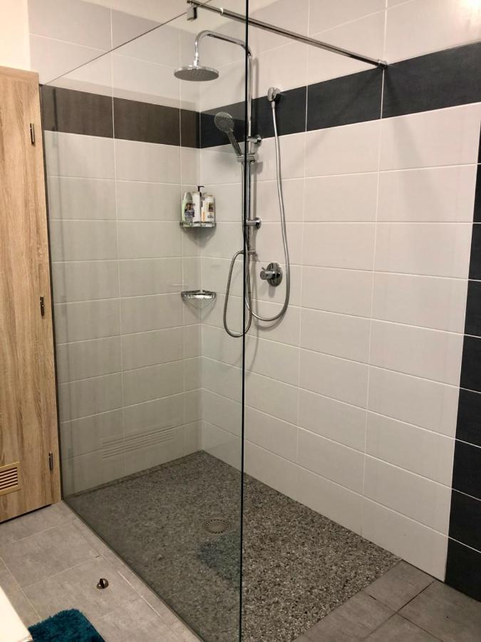 Apartman Lipno G11 Frymburk Εξωτερικό φωτογραφία